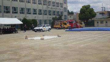 水防訓練の写真（総合演習1）