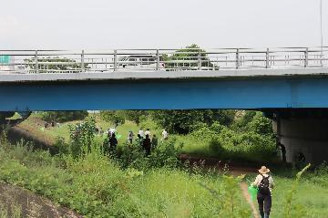 新島田橋の下を通り、下流の方へ移動