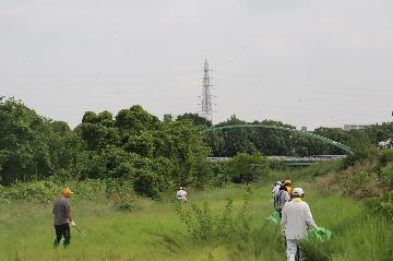 生い茂る草を掻き分けながら清掃を進める様子
