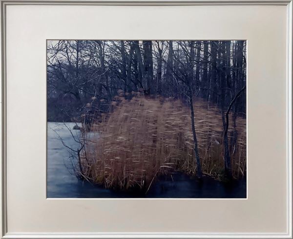 写真：市長賞　写真の部