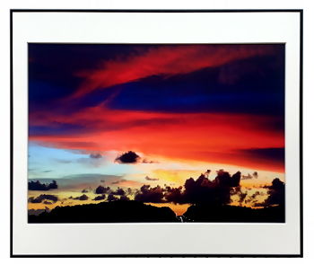 写真：市長賞　写真の部