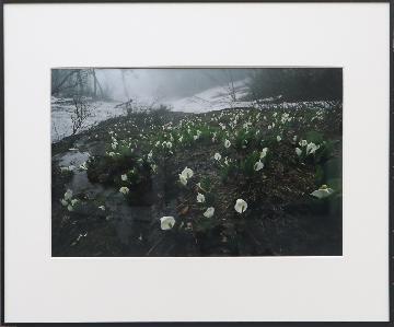 写真:写真の部 市長賞作品 「初夏の妖精」