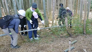 写真:相生山緑地の竹を切っている様子
