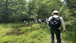 写真:東山の森の散策