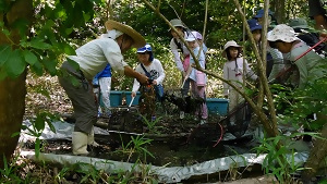写真:島田湿地で生き物を探している様子