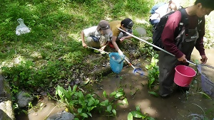 写真:相生山緑地の生き物を探している様子