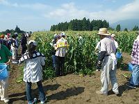写真：子どもたちによるふれあい交流