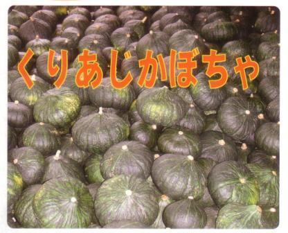 写真：くりあじかぼちゃが並んでいます。