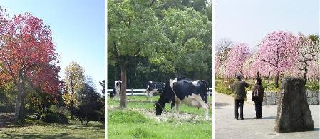 農業センターの風景写真