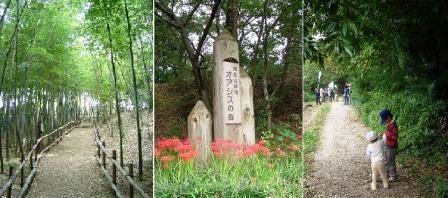 相生山緑地オアシスの森写真