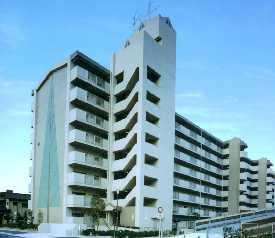 写真：市営　柴田荘4棟