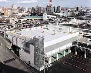 写真：中央卸売市場本場青果棟