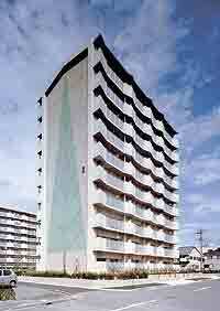 写真：市営　柴田荘2棟