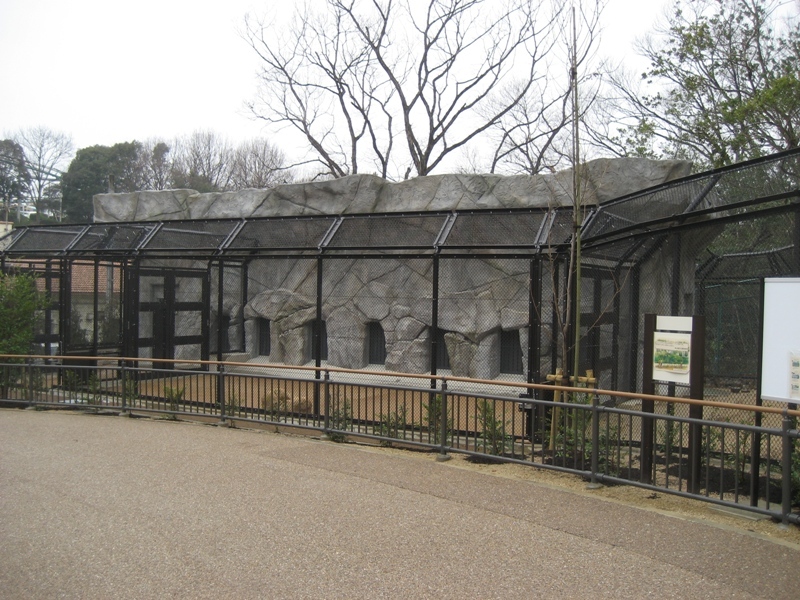 写真：運動場からの全景。