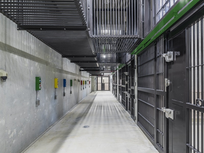 写真：東山動植物園ゴリラ・チンパンジー獣舎地下