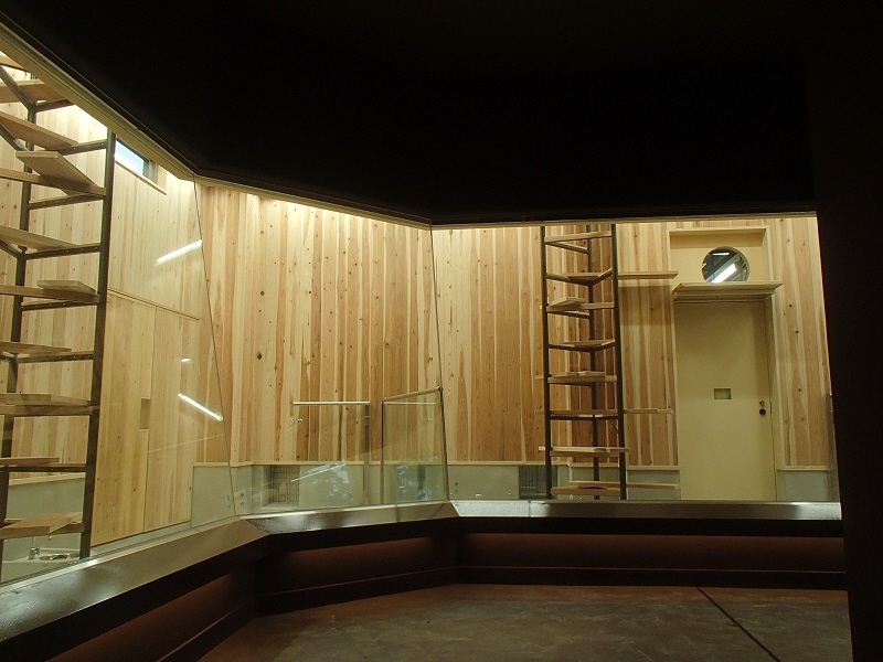 写真：東山動植物園レッサーパンダ獣舎内観。