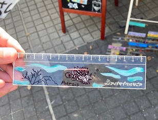 写真：完成した定規