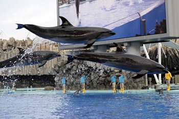 名古屋港水族館の写真