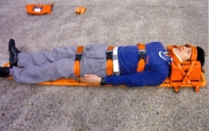 バックボードの写真