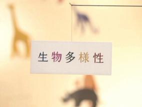動画サムネイル:生物多様性