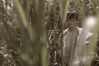 動画サムネイル:草原で迷う子ども