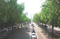 写真:環境にやさしいみち