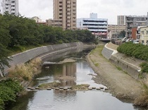 写真:河川の整備