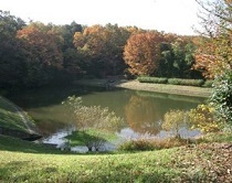 写真:ため池の整備