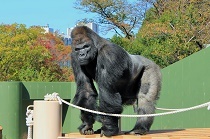 写真:東山公園(千種・名東・天白区)