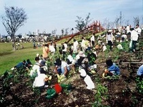 写真:戸田川緑地(中川・港区)1