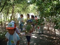 写真:戸田川緑地(中川・港区)2
