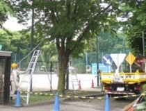 写真:公園・緑地の維持管理