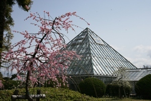 写真:農業センター