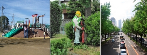 公園遊具、樹木の刈込、大通りの街路樹の写真
