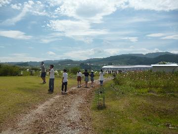 写真:ワタミオーガニックランドでの活動の様子