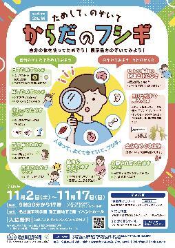 写真:企画展からだのフシギチラシ