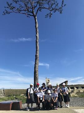 写真:奇跡の一本松の見学