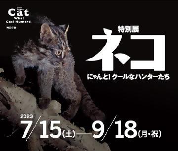 写真:特別展ネコのポスター