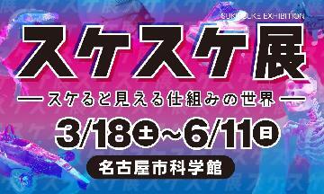写真:スケスケ展ポスター