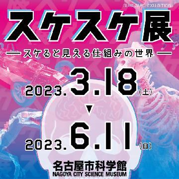 写真:スケスケ展ポスター