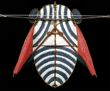 写真:蝉の名古屋凧