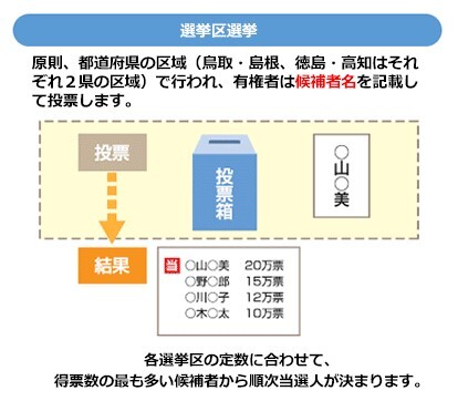 参議院議員通常選挙(選挙区)の投票の方法を説明するイラスト