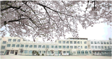 山吹小学校外観の写真です