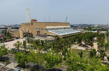 写真:富田工場の敷地内にある緑地