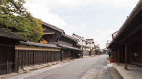 有松の写真です。