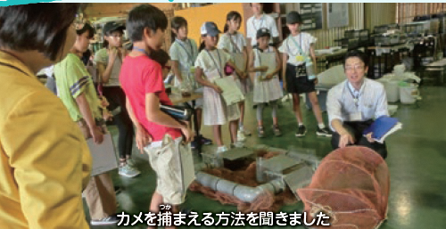 施設見学:カメを捕まえる方法を聞いたときの写真