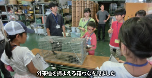 施設見学:外来種を捕まえる箱わなを見たときの写真