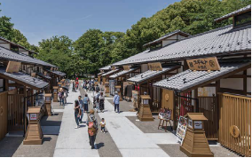 金シャチ横丁の写真