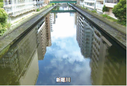 新堀川の写真