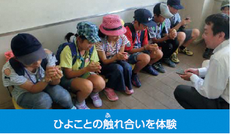 施設見学:ひよことの触れ合いを体験した時の写真